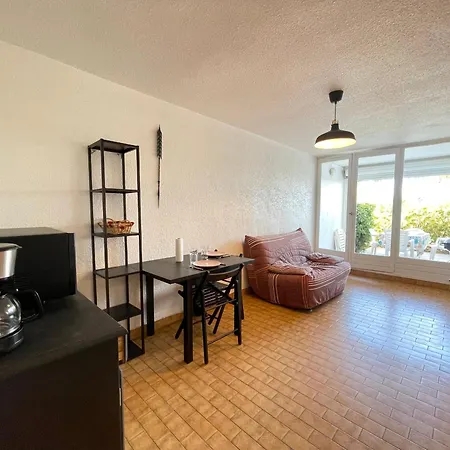 2 Pieces Face A La Avec Terrasse, Parking Prive Et Wifi A - Fr-1-338-526