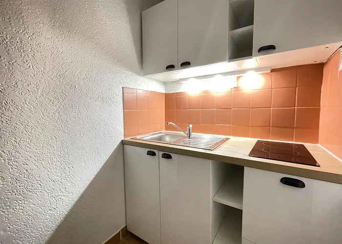 2 Pieces Face A La Avec Terrasse, Parking Prive Et Wifi A - Fr-1-338-526