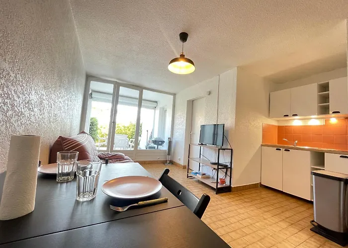 Апартаменты 2 Pieces Face A La Avec Terrasse, Parking Prive Et Wifi A - Fr-1-338-526 *