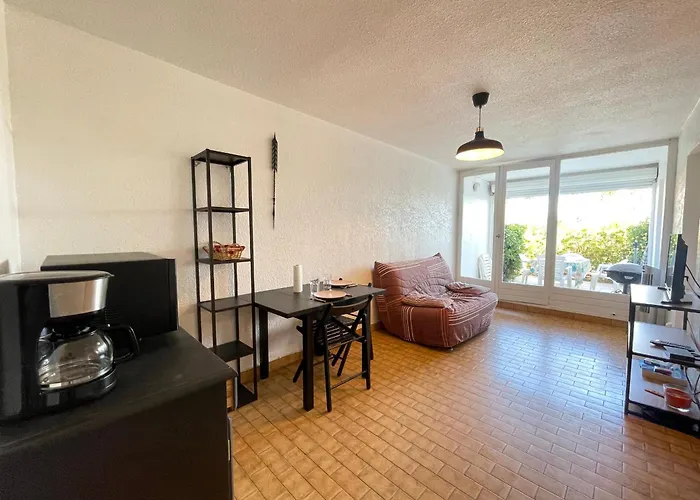 2 Pieces Face A La Avec Terrasse, Parking Prive Et Wifi A - Fr-1-338-526