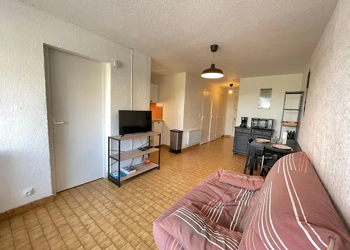 2 Pieces Face A La Avec Terrasse, Parking Prive Et Wifi A - Fr-1-338-526 Сет