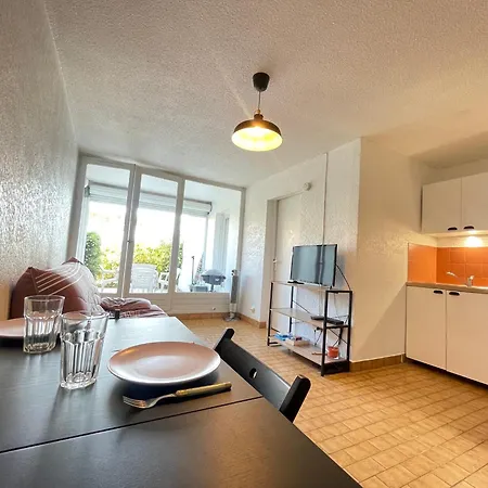 아파트 2 Pieces Face A La Avec Terrasse, Parking Prive Et Wifi A - Fr-1-338-526 *