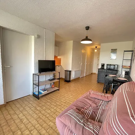 2 Pieces Face A La Avec Terrasse, Parking Prive Et Wifi A - Fr-1-338-526 세테